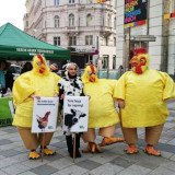 Ergebnis der VGT-Kampagne gegen die Erhöhung der Besatzdichten bei Masthühnern und -puten