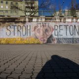 Neues 54 m² Graffiti am Wr. Donaukanal zum Schweine-Vollspaltenboden: Stroh statt Beton