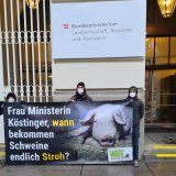 VGT protestiert bei Köstinger Pressekonferenz „Zukunft Landwirtschaft“: ohne Vollspalten?