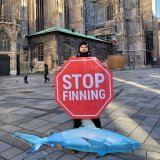 „Stop Finning“ Bürger:innen-Initiative gestern um Mitternacht beendet