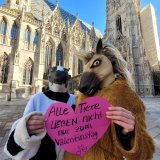 VGT-Aktion „Ein Herz für Tiere“ zum Valentinstag am Stephansplatz in Wien
