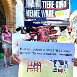 #Abgestillt! Protest-Aktionen in ganz Österreich!
