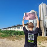 Vollspalten-Schweinefabrik mit vielen toten und verletzten Tieren: Amtstierärztin kontrolliert