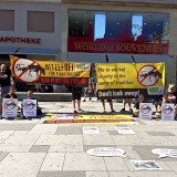 VGT fordert an Hitzetagen ganztägiges Hitzefrei für Fiakerpferde in Wien