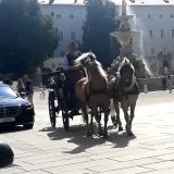 Fiaker: Lebensgefahr für Mensch und Pferd in der Salzburger Altstadt