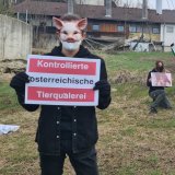 Einladung: VGT-Protest vor Tierqual-Prozessauftakt in Klagenfurt