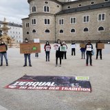 Einladung: Tierschutz-Demo vor Schloss Mirabell