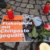 Salzburg: Mahnwache für Fiakerpferde vor dem Schloss Mirabell