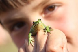 Kind mit Frosch