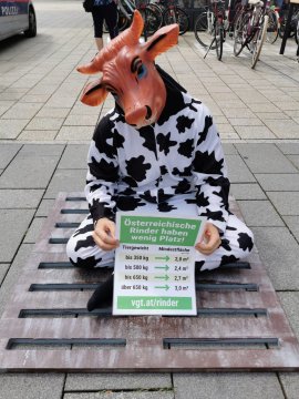 Protest gegen Vollspaltenboden in der Rinderhaltung