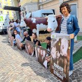 Klagenfurt: VGT-Auftaktaktion zur Kampagne gegen Mastrinder Vollspaltenboden