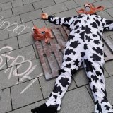 Tierschützer in Rinderverkleidung auf Vollspaltenboden am Hauptplatz in Wr. Neustadt