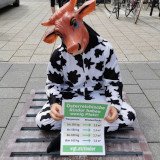 Einladung zu VGT-Aktion in Wien: Rinder Vollspaltenboden ist nicht zu ertragen