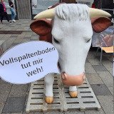 Bildergalerie auf der Wiener Mariahilferstraße zeigt die Realität Vollspaltenboden Rinder