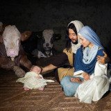 Einladung zu VGT-Aktion Wien: Jesus im Stall auf Vollspaltenboden geboren