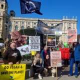 VGT am weltweiten Klimastreik: Jetzt handeln! 