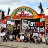 Einladung: Tierschützer:innen laufen gegen Zirkus Sturm