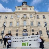 Skandal-Mast: VGT enttäuscht über milden Prozessausgang