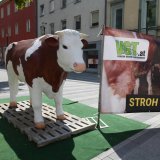 Einladung: Aktion zu Mastrindern auf Vollspaltenboden in Innsbruck