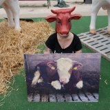 Einladung: 2 Menschen 24 Stunden auf Rinder Vollspaltenboden am Wiener Stephansplatz