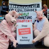 Einladung: Demo NÖ Landwirtschaftskammer Räumung Wechselweide Schweine Hubmann