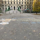 Kreidegraffiti vor dem Landwirtschaftsministerium: Mastrinder leiden auf Vollspaltenboden