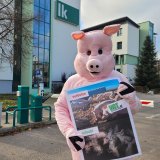 VGT protestiert in St. Pölten gegen Räumung Schweine Wechselweidebetrieb Hubmann