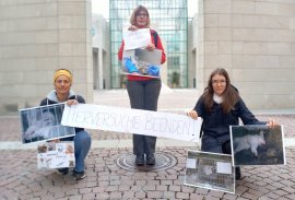 Protestkundgebung gegen Tierversuche in Salzburg