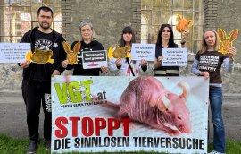 Protestkundgebung gegen Tierversuche in Vorarlberg