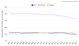 Grafik