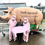 Das VGT-Riesen-Schwein „Grunzi“ sorgt für Aufsehen im Ländle!