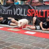 Innsbruck: 2 Tierschützerinnen verbringen 24 Stunden auf Schweine-Vollspaltenboden