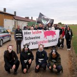 1000er Vollspaltenboden Schweinefabrik Mistelbach: Tierschützer:innen immer noch drinnen