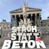 „Stroh statt Beton“ – die Schweine dürfen bei Regierungsbildung nicht vergessen werden!