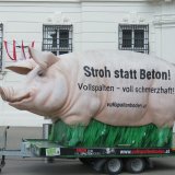 Morgen Tag des Schweins: VGT wird mit 5 Meter Riesenschwein in Wien informieren