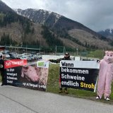 VGT-Demo in Osttirol bei Totschnig-PK: Wann bekommen Schweine endlich Stroh?