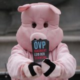 Kein Tierschutz im Ministerrat, kein Tierschutz im Parlament: VGT protestiert weiter