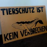 Morgen Protest vor Dänischer Botschaft wegen Verhaftung Walschützer Paul Watson