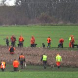 Massaker an hunderten Hasen in Gattendorf im Burgenland: sinnlose Tierqual ohne Ende