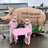 Einladung zu VGT-Aktion vor Parlament: SPÖ und NEOS für Stroh für Schweine