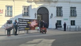 Demo gegen Vollspaltenboden