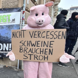 Einladung zu VGT-Protest vor Bauernbundball Graz: Tierwohl in aller Interesse