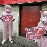 VGT-Kundgebungen vor ÖVP, SPÖ und NEOS Zentralen: Schweine nicht vergessen!