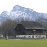 Einladung zur Petitionsübergabe für eine Wildtierstation im Salzburger Frohnburgstadel