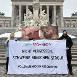 Heute im Parlament: Grüne beantragen echtes Vollspaltenbodenverbot!