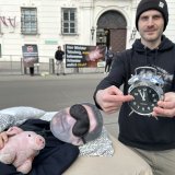 VGT: „Minister Totschnig, bitte aufwachen, die Schweine brauchen Stroh!“