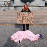 Sleep-In in Klagenfurt, Aktion Wien: Appell an Politik, aufzuwachen und Schweinen Stroh zu geben!