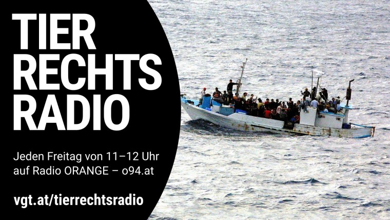 Sendungsbild für: Das Thema Flüchtlinge im Tierrechtsradio?