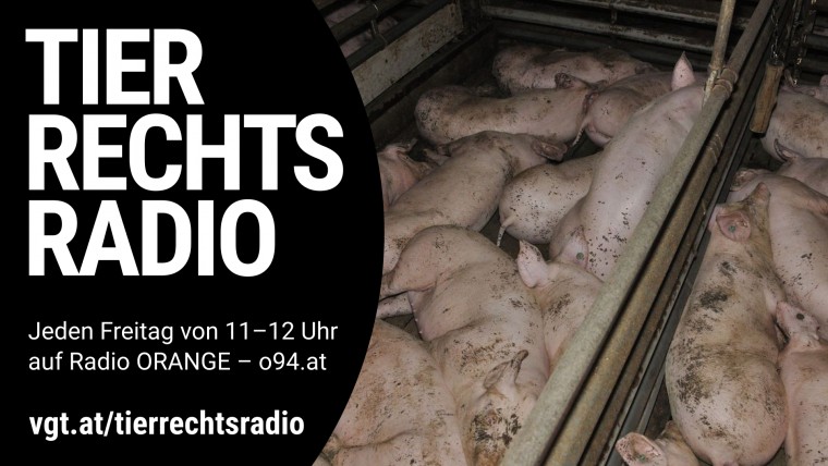 Sendungsbild für: Skandal in Vorarlberg: Deutsches Fleisch als Vorarlberger Fleisch verkauft