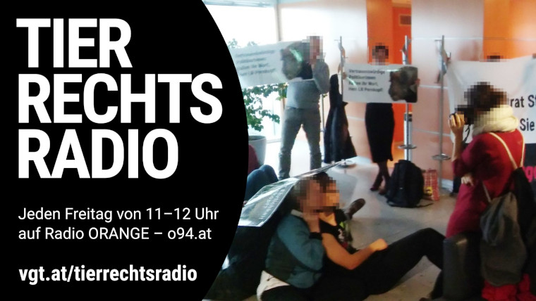 Sendungsbild für: Bericht von der Besetzung des Büros der Landeshauptfrau in St. Pölten